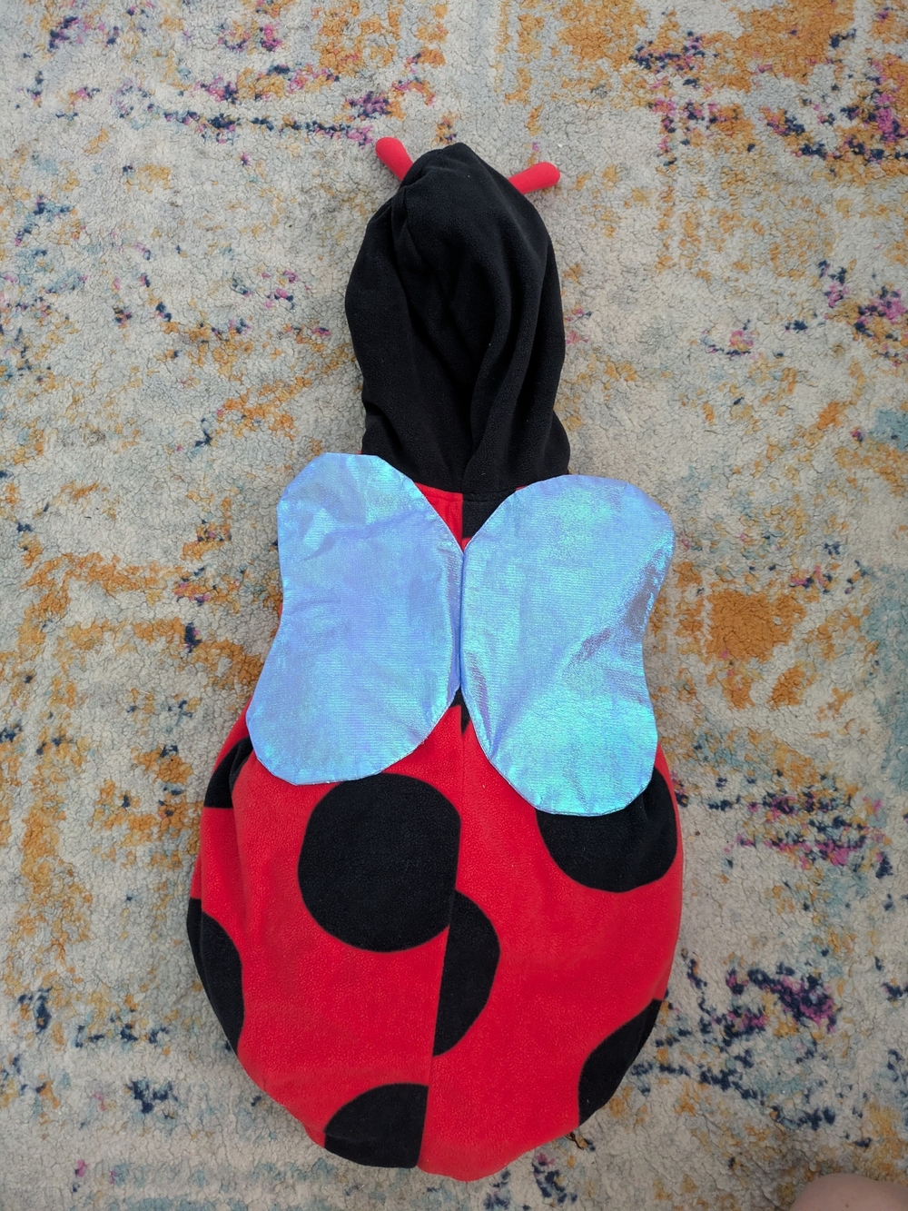 Carter's Ladybug Costume